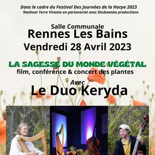 Festival des journées de la Harpe 2027 3