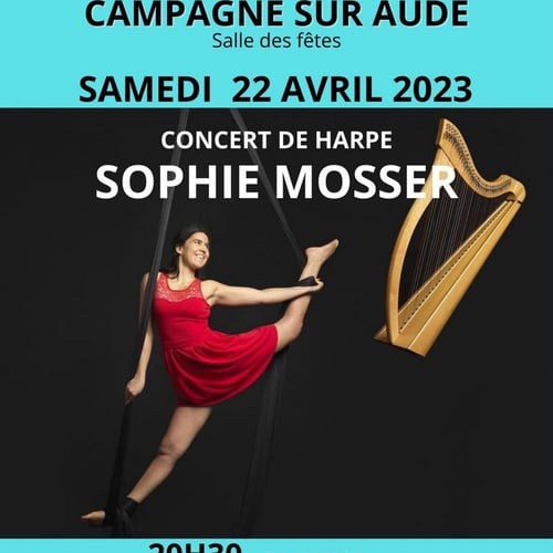 Festival des journées de la Harpe 2027 4