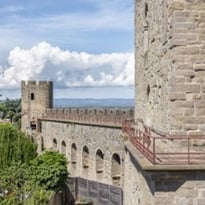 Billet d'entrée pour le Château et Remparts de Carcassonne