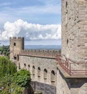 Billet d'entrée pour le Château et Remparts de Carcassonne