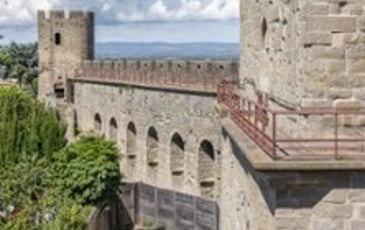Billet d'entrée pour le Château et Remparts de Carcassonne
