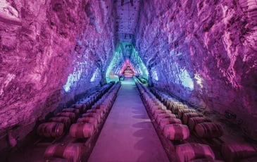 Visite guidée de Terra Vinea