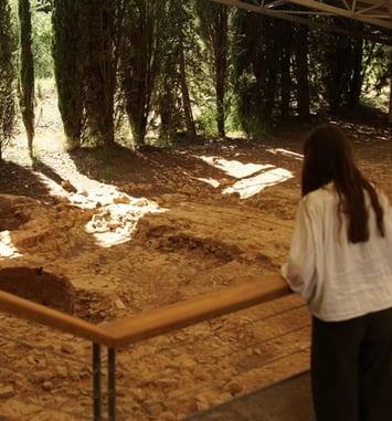 Visite guidée : "Il était une fois Amphoralis"
