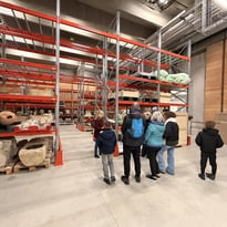 Visite guidée : dans les coulisses du musée Narbo Via