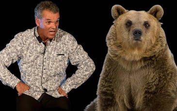 Olivier de Robert, ours y es-tu?