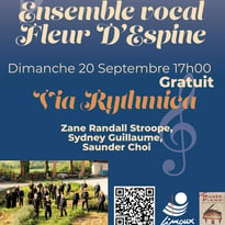 Concert "Fleur d'Espine" au musée du piano