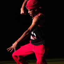 Des Danses et des Luttes