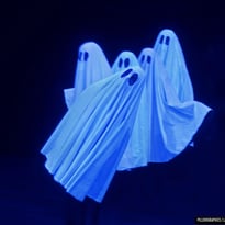 Pillowgraphies