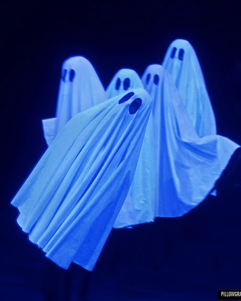 Pillowgraphies