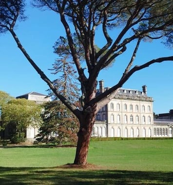 Avec la Fondation du patrimoine, soutenez la restauration du château de Pech Redon