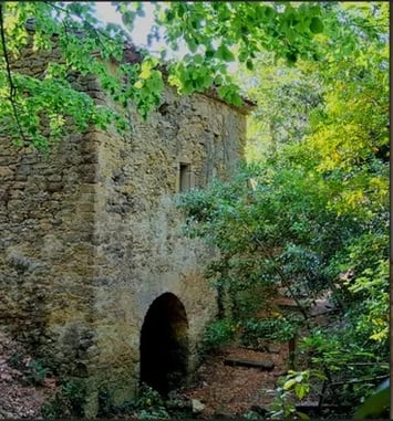 Visite commentée du site, moulin à eau, clairière des chênes, théâtre de verdure.