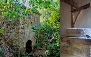 Visite commentée du site, moulin à eau, clairière des chênes, théâtre de verdure.