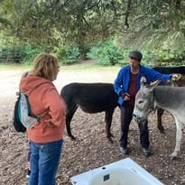 Balade contée en âne, Folklore du Brésil à Montolieu
