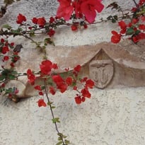Sigean, au fil des façades
