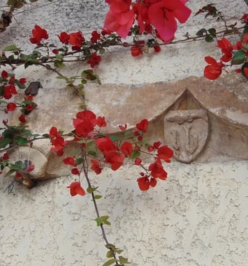Sigean, au fil des façades
