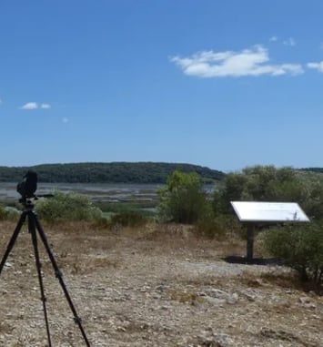 Prenons de la hauteur : les paysages et la biodiversité du Roc