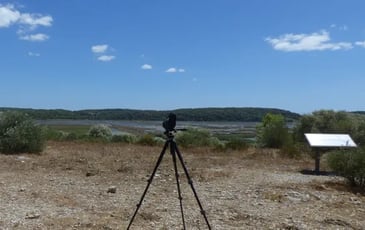 Prenons de la hauteur : les paysages et la biodiversité du Roc