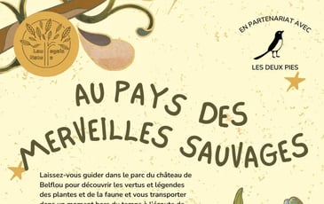 Balade au pays des merveilles sauvages au château de Belflou