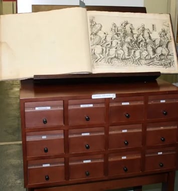 Visite commentée des réserves patrimoniales