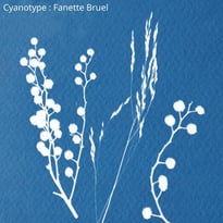 Atelier photo cyanotype