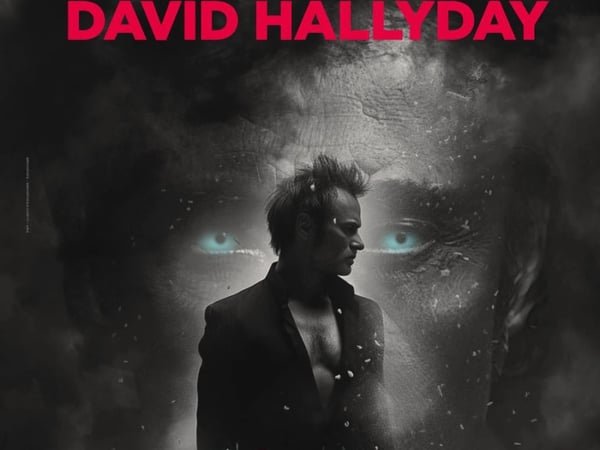 David Hallyday : Requiem pour un fou
